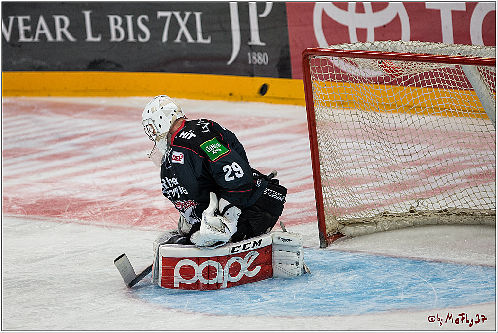 Koelner Haie - Pinguins Bremerhaven, 25.10.2016